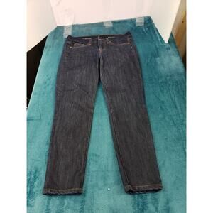 J.Crew Size 25 Womens Blue Pants Stretch Mid Rise Toothpick Skinny USA